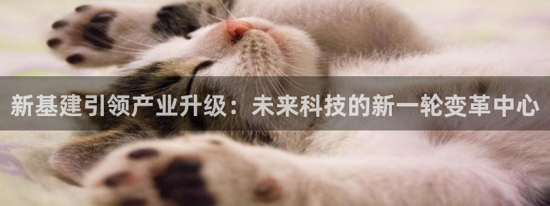 众腾娱乐官方客服电话