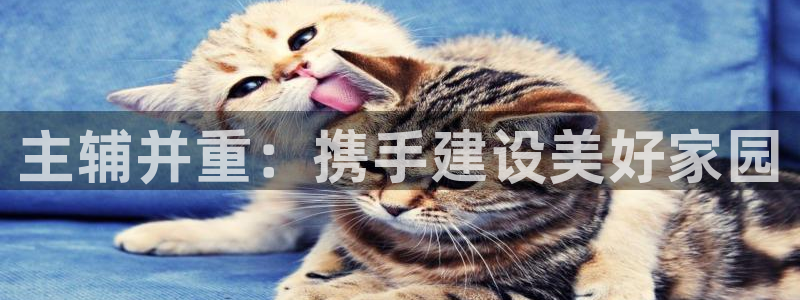众腾娱乐客服