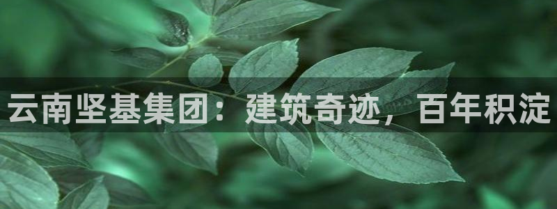 众腾娱乐app